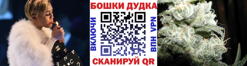 Альфа ПВП Олонец
