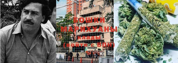 трава Алексин
